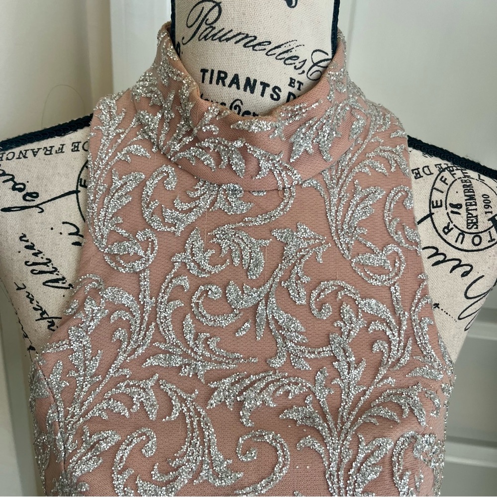 Portia & Scarlett Embellished High-Neck Halter Mermaid Gown Pink Silver Sz S - Picture 4 of 16
